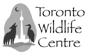 Logo4
